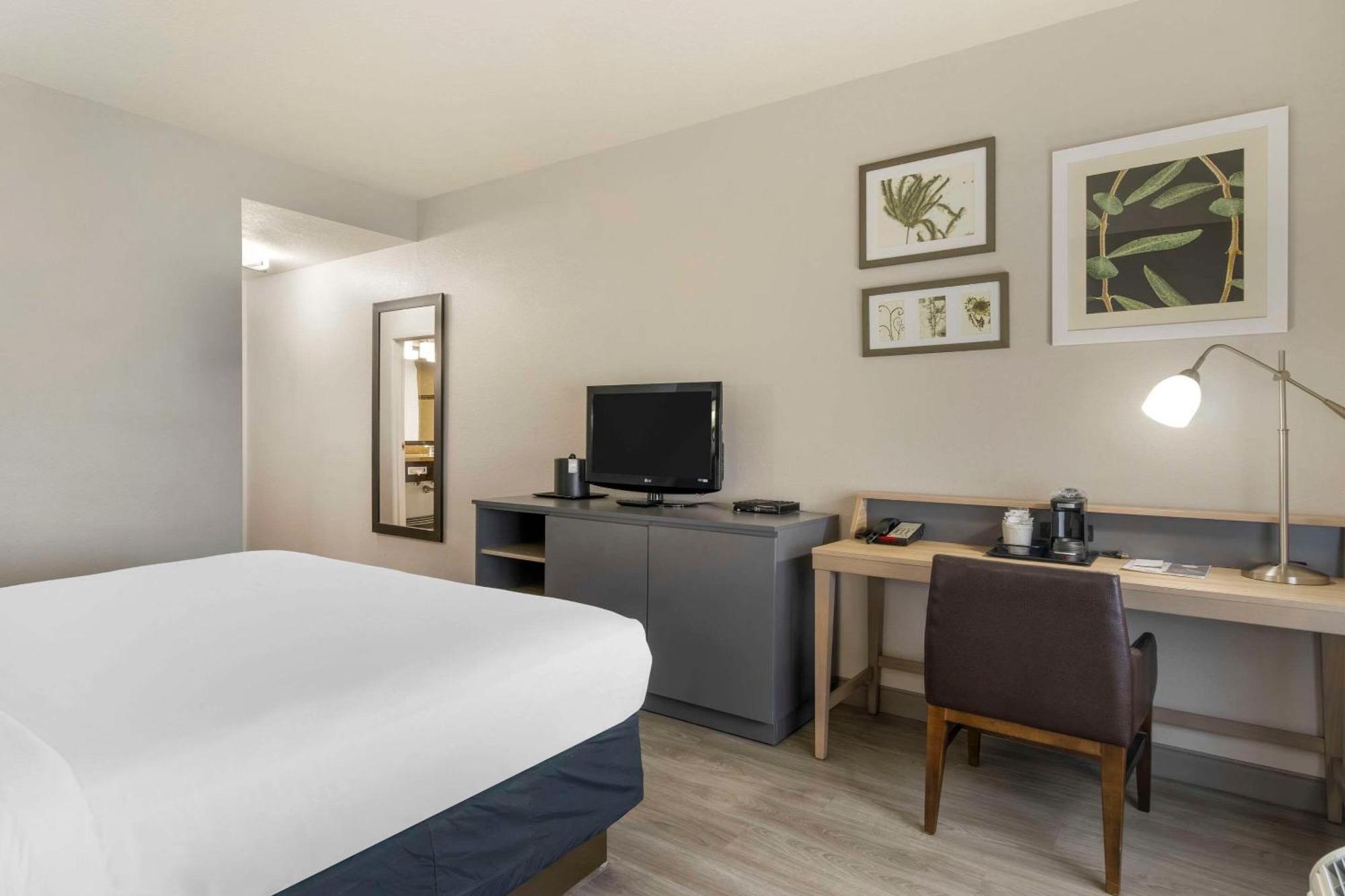 Country Inn & Suites By Radisson, Tampa Airport North, Fl Luaran gambar