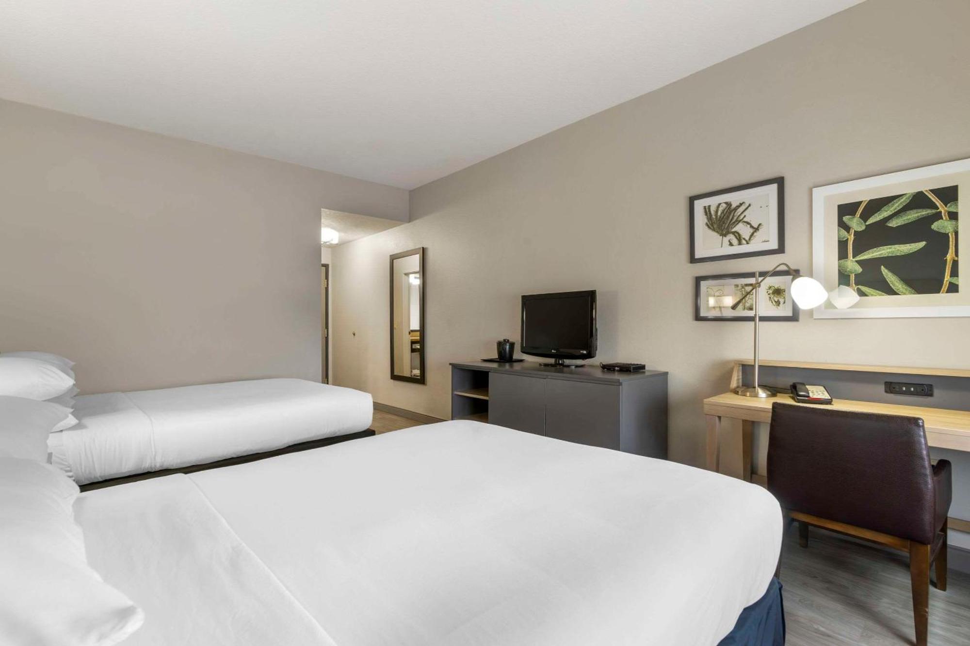 Country Inn & Suites By Radisson, Tampa Airport North, Fl Luaran gambar